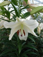 [5169 Villa Blanca No01.JPG]